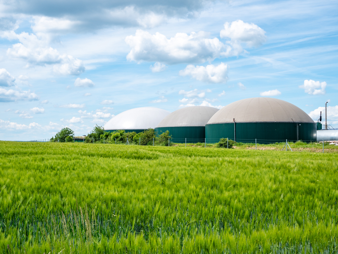 Biotecnología y energía sostenible: un futuro más verde